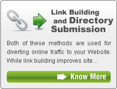 Link Building and Directory Submission