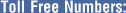 Web Design India UK Australia
